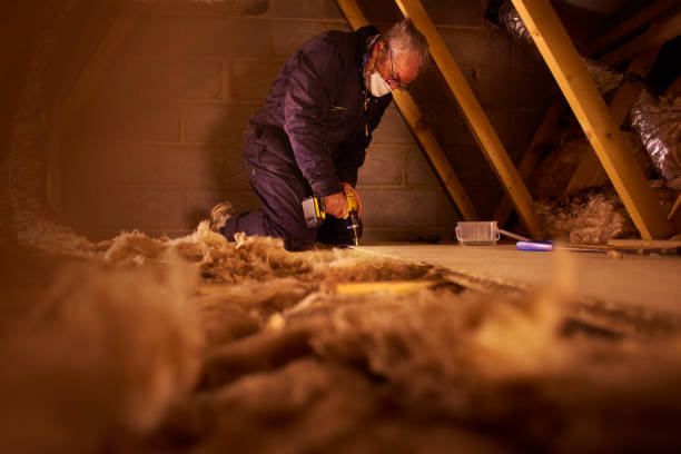 Types of Insulation We Offer in Merlin, OR